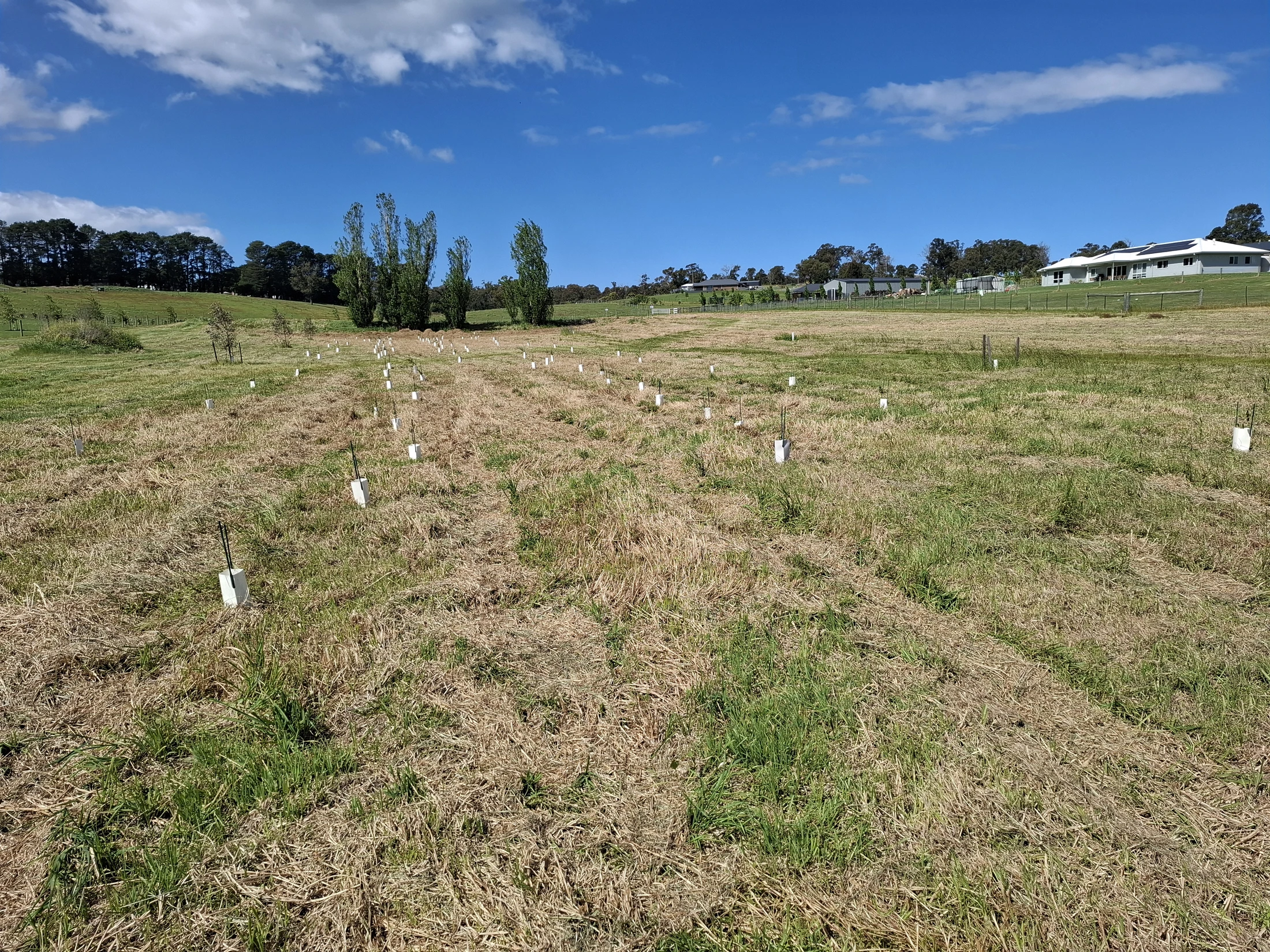 Land Management Hero